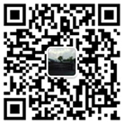 微信咨詢